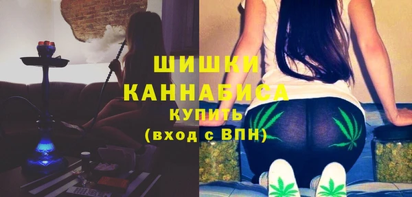 амф Протвино