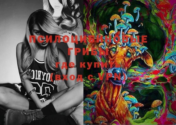 амф Протвино