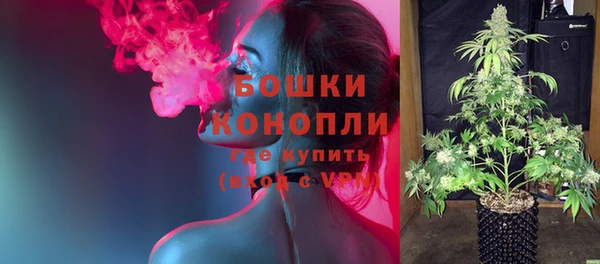 амф Протвино